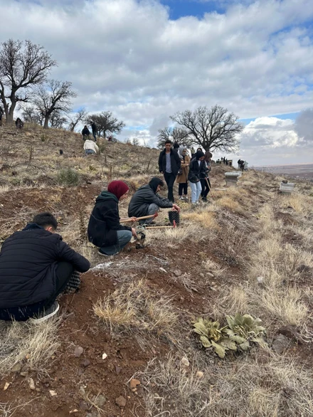 Güneysınır’da Bal Ormanı İçin Fidan Dikimi Etkinliği Gerçekleştirildi
